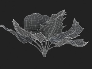 mistletoe sprig holly 3D Model