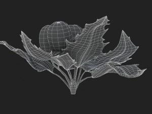 mistletoe sprig holly 3D Model