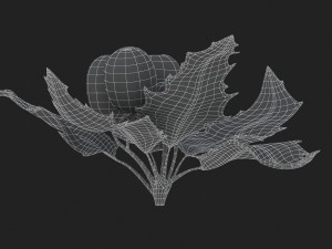 mistletoe sprig holly 3D Model
