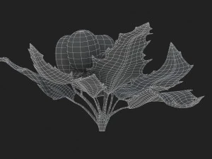 mistletoe sprig holly 3D Model