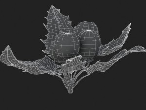 mistletoe sprig holly 3D Model