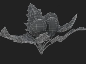 mistletoe sprig holly 3D Model