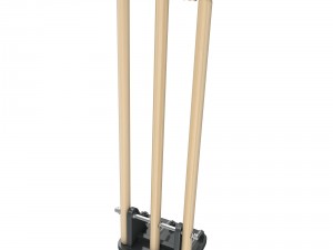 cricket wicket 3d 3D Model
