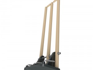 cricket wicket 3d 3D Model