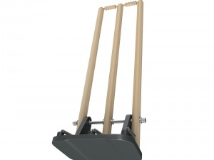 cricket wicket 3d 3D Model