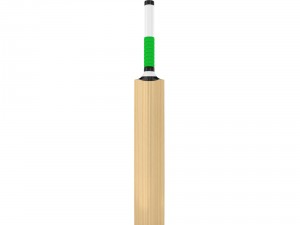 cricket bat Modelo 3D