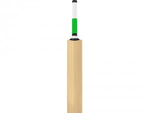 cricket bat 3D Model