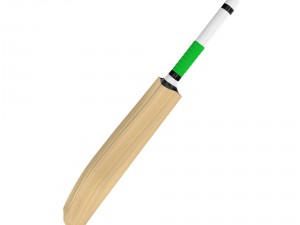 cricket bat Modelo 3D