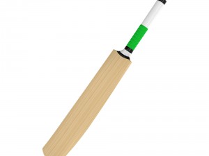 cricket bat Modelo 3D