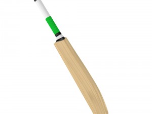 cricket bat Modelo 3D