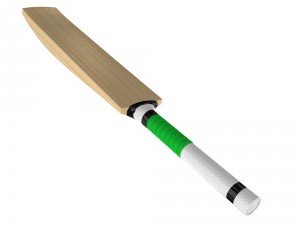 cricket bat Modelo 3D