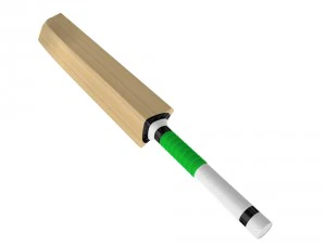 cricket bat 3D Model