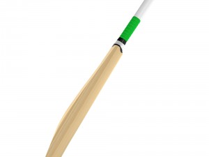 cricket bat Modelo 3D