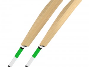 cricket bat Modelo 3D