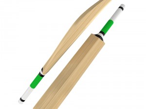 cricket bat Modelo 3D