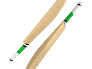 cricket bat Modelo 3D