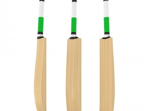 cricket bat Modelo 3D