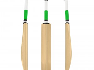 cricket bat Modelo 3D