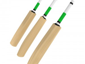 cricket bat Modelo 3D