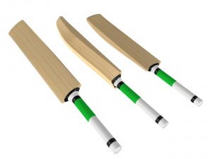 cricket bat Modelo 3D