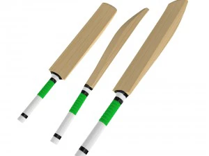 cricket bat 3D Model