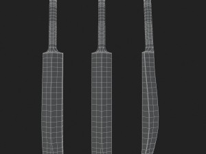 cricket bat Modelo 3D