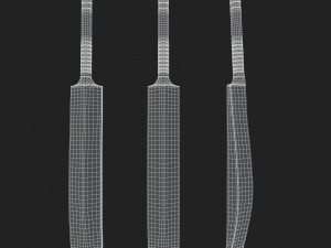 cricket bat Modelo 3D