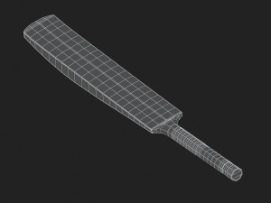 cricket bat Modelo 3D