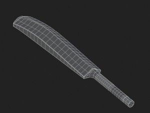 cricket bat Modelo 3D
