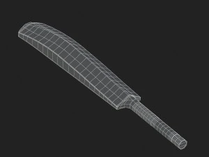 cricket bat 3D Model