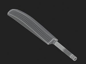 cricket bat Modelo 3D