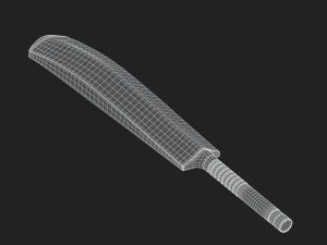 cricket bat 3D Model