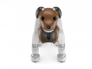 sony aibo choco 3D Model