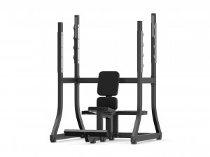 technogym pure olympic military bench 3D Model
