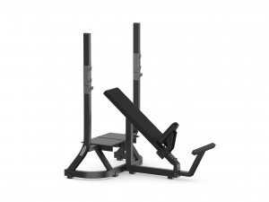technogym pure olympic incline bench Modello 3D