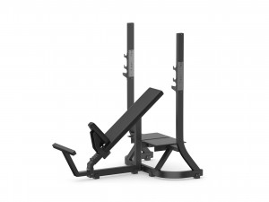 technogym pure olympic incline bench Model 3D
