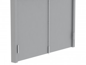 double fire exit door Model 3D