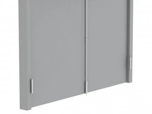 double fire exit door 3D Model