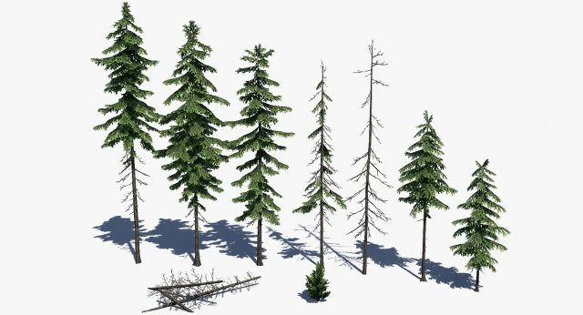 conifer pine tree pack 01 3D Model .c4d .max .obj .3ds .fbx .stl .blend