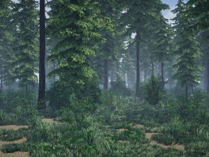 conifer pine tree pack 01 3D Model