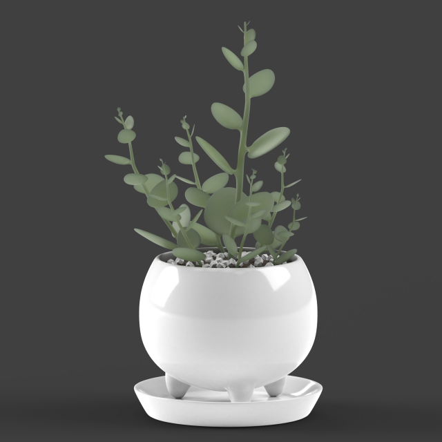xerosicyos danguyi Modèle 3D .c4d .max .obj .3ds .fbx .stl .blend