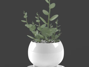 xerosicyos danguyi 3D Модель