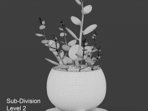 xerosicyos danguyi 3D Model