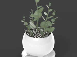 xerosicyos danguyi 3D Model