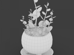 xerosicyos danguyi Modèle 3D