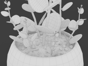 xerosicyos danguyi Modèle 3D