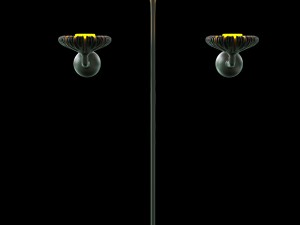 florensis 3D Model