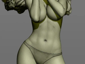 girl in the wind 3D Print Model