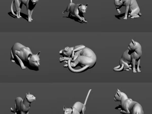 gato em 10 poses Modelo de Impressão 3D