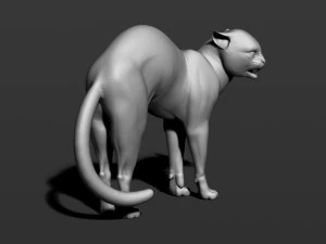 cat in 10 poses 3D Print Model